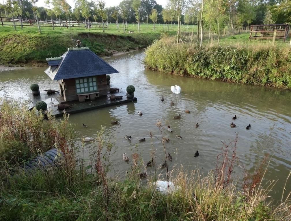 Ferme De Dauval Bed and Breakfast Mandeville-en-Bessin Exteriör bild